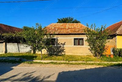 Casă cu 3 camere cu Teren 3300 Mp în Husasău de Tinca - 2