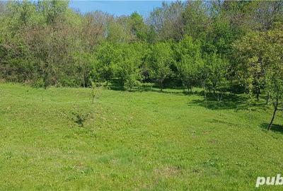 Teren de 2070 mp, în Vârfuri - 1
