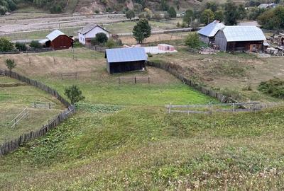 Teren în Negrileasa