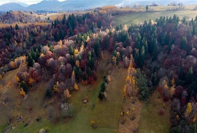 Teren Construcții intravilan de 1000 mp, în Moieciu - 6