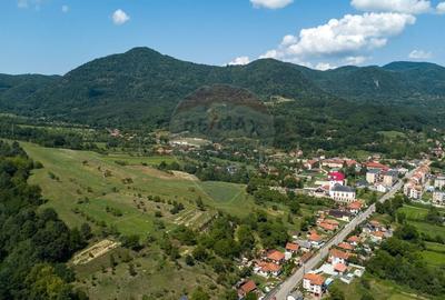 Casa de vanzare Certeju de Sus,jud Hunedoara - 22