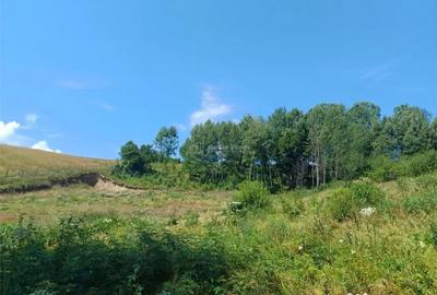 Teren de 4500 mp, în Brebu - 5