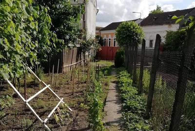 Casă cu 2 camere în Dej - 2