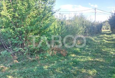 Teren pretabil casa cabana sau gradina 352 mp zona deosebita Teren pretabil casa cabana sau gradina 352 mp zona deosebita - 2