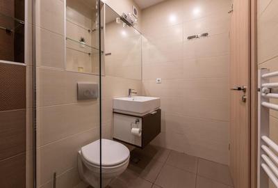 Apartament 2 camere in Platinia Mall - 10