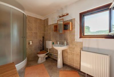 Casa rustica P+1 in zona de deal - Bogati, AG - 8