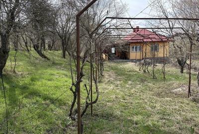 Casă cu 3 camere în Greci - 8
