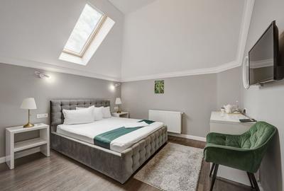 Vindem Afacerea ! Mini Hotel + Cafenea/ Restaurant ! Parcul Carol ! - 35