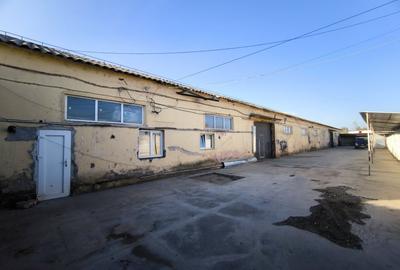 Hala industriala - productie / depozitare, suprafata utila 517 mp, Palota - 4