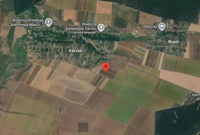 Teren extravilan Varvoru de Jos, jud Dolj - 3