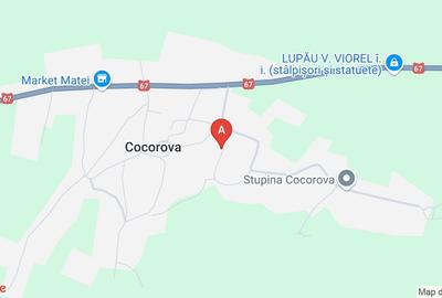 Casă individuală cu 3 camere în Cocorova