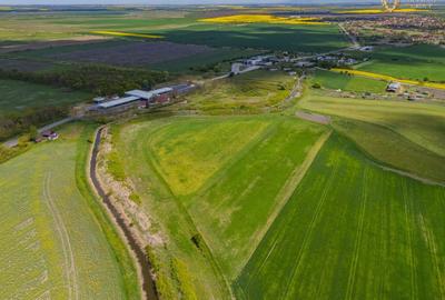 Teren agricol extravilan de 18000 mp, în Turnu - 7