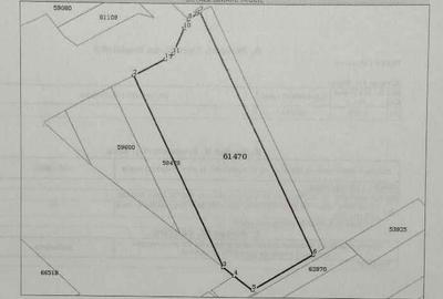 Teren de 46000 mp, în Exterior Vest - 1