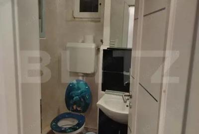 Apartament cu 2 camere semidecomandat în Botizului - 12