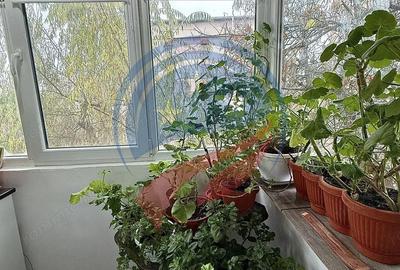 Apartament 2 camere/de vanzare/Calea Severinului - 9