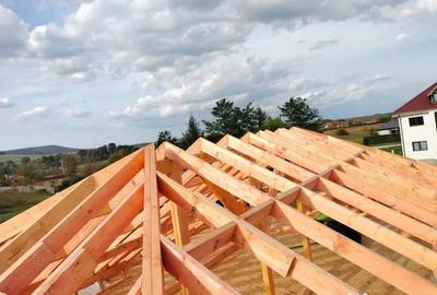 Casă cu 3 camere cu Teren 300 Mp în Lugoj - 5