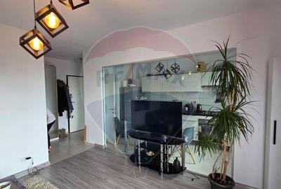 Apartament de inchiriat cu vedere la lac - 14