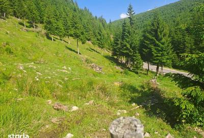 Teren de 1000 mp, în Măguri - 3
