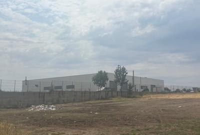 Teren agricol extravilan de 5000 mp, în Pielești - 1