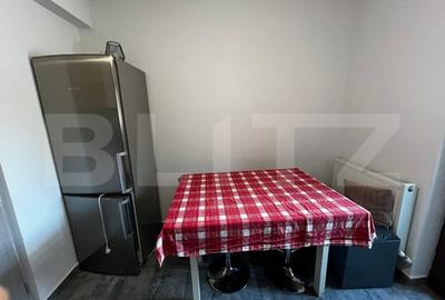 Apartament 2 camere decomandat, 60 mp, zona Valea Lupului - 10
