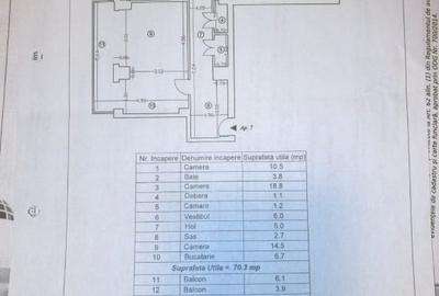 Apartament cu 3 camere decomandat, mobilat în 1 Decembrie 1918 - 10
