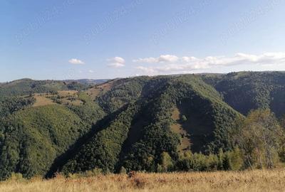 Teren de 20000 mp, în Mărișel - 1