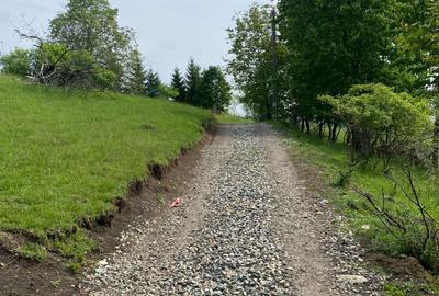 Teren Construcții intravilan de 3738 mp, în Cisnădioara - 2