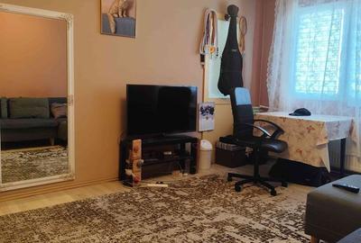 Apartament cu 2 camere semidecomandat în Craiovița Nouă - 3