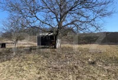 Teren de 20000 mp, în Central - 6