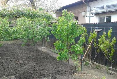 Casa - Sos. Viilor - 1