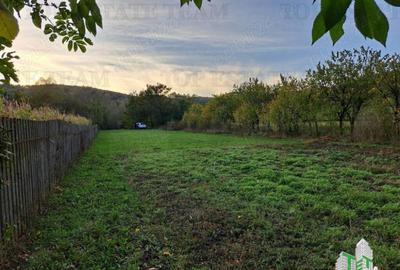 Teren de / Maneciu Pamanteni - 3