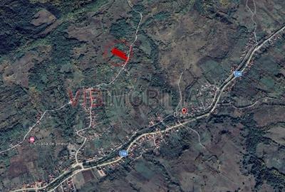 Teren intravilan de 7280 mp, în Mihăești - 14