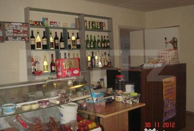 Casă cu 2 camere cu Teren 5600 Mp în Central - 12