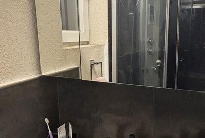 Apartament cu 2 camere decomandat în Brazda lui Novac - 4