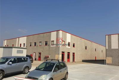 Depozit/spatiu industrial/hala Chitila - Rudeni, ILFOV - 2