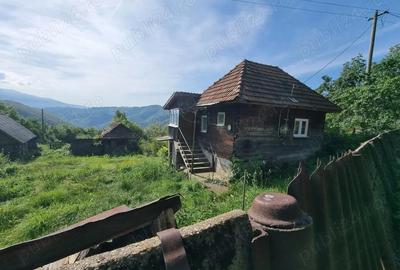 Casă cu 2 camere în Bănița - 1
