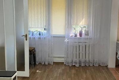 Vanzare apartament cu 2 camere zona Aradului - 2