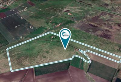 Teren pasune de 42,5 ha, comasat 100% pretabil pentru parc fotovoltaic - 2