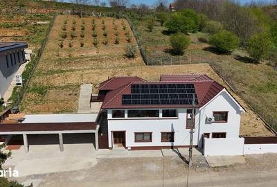 Casă cu 4 camere cu Teren 2000 Mp în Oncea - 14