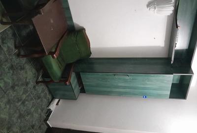Apartament cu 2 camere semidecomandat în Podu Roș - 2