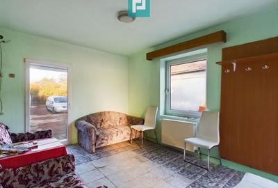 Teren generos și casă în Sânnicolau Mic - 9