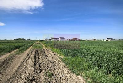 Teren Construcții intravilan de 2200 mp, în Dărăști-Ilfov - 17
