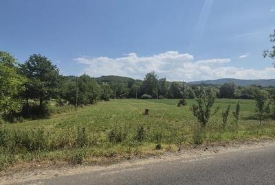 Teren de 5500 mp, în Berința