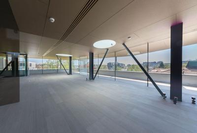 Vila Capo | Luxury offices 1800 mp | Dorobanti Capitale - 9