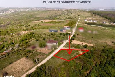 Spațiu comercial, în Săldăbagiu de Munte - 3
