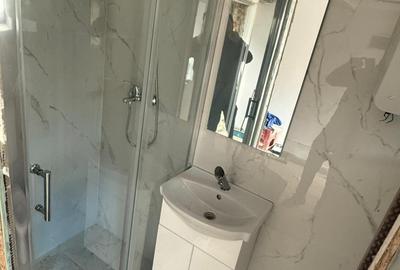 Garsonieră singur în curte, zona Schei, Brașov, COD 8249 - 4