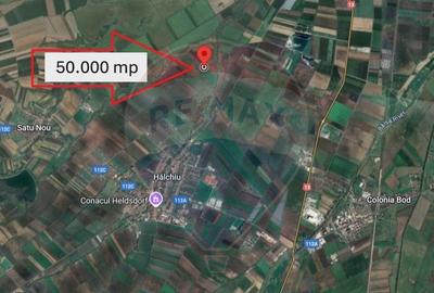 Teren de vanzare / extravilan 50.000mp/Halchiu