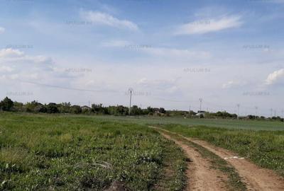 Teren aproape de Bucuresti langa padure - 18