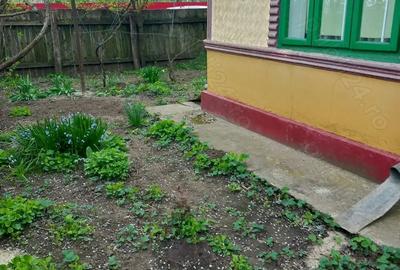 Casă cu 3 camere în Silistraru - 7