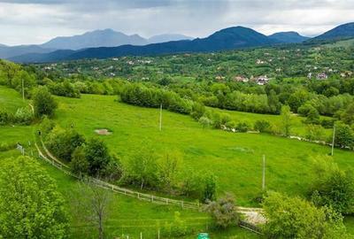 Film! Domeniu pe 11.000mp intravilan, panorama montana,Bran,Sohodol - 13